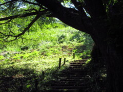 山頂手前にて