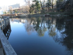 姿見の池
