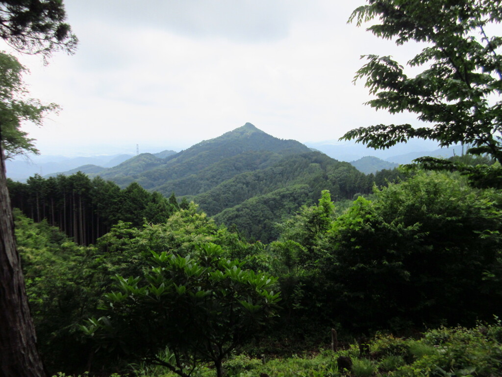 麻生山
