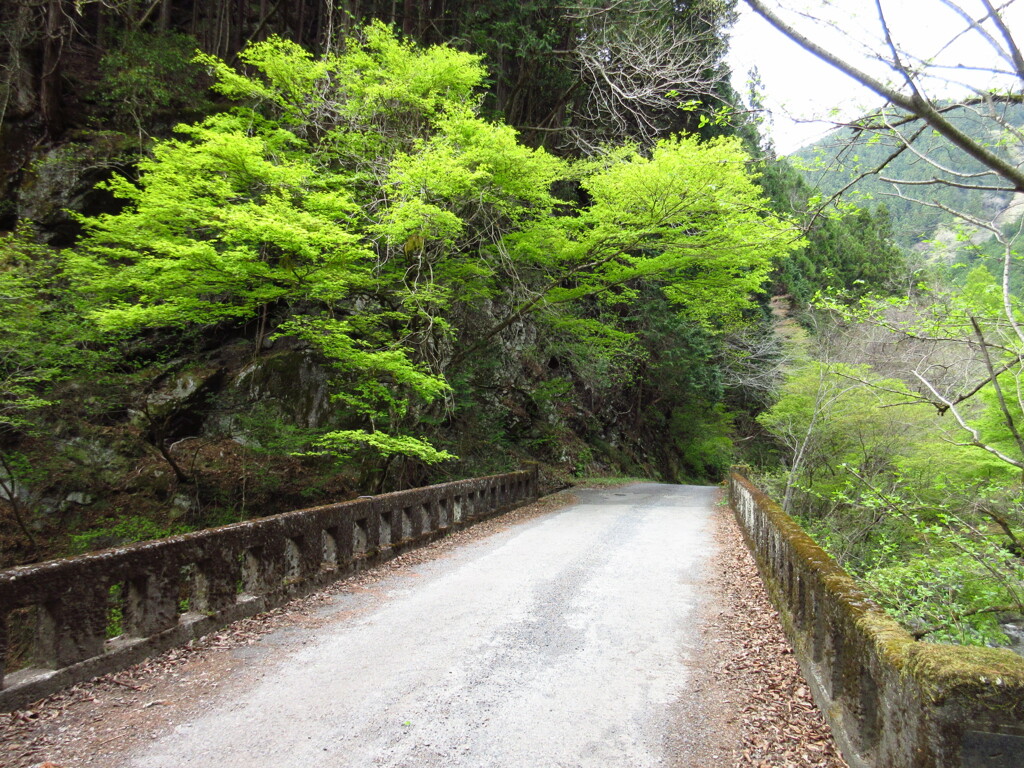 林道