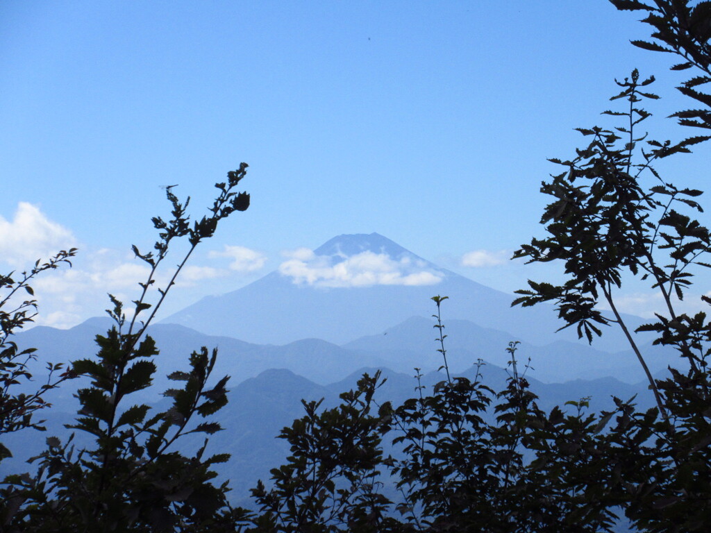 まだまだ夏富士