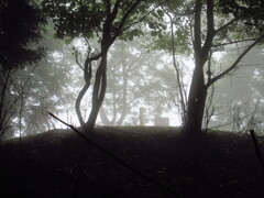 霧の山頂