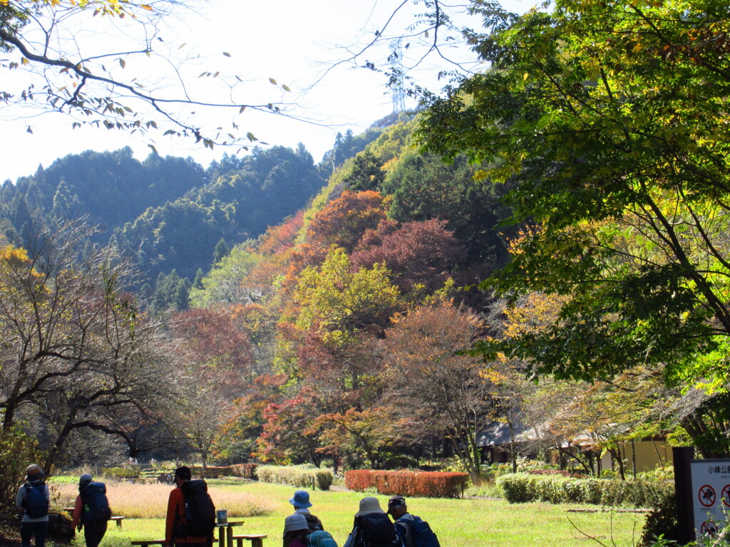 里山の秋