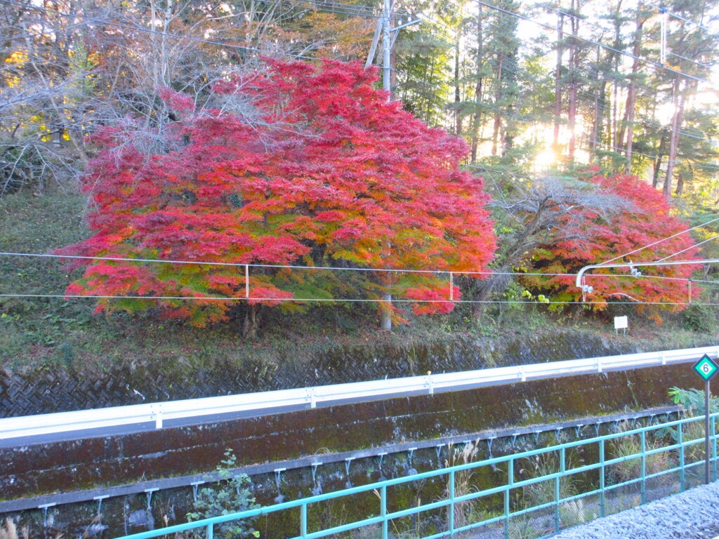 駅のホームから