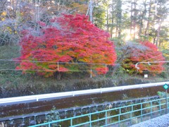 駅のホームから
