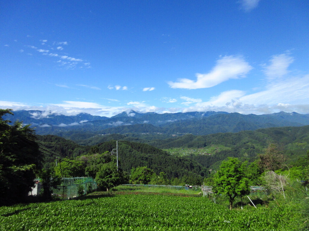 きれいな青空