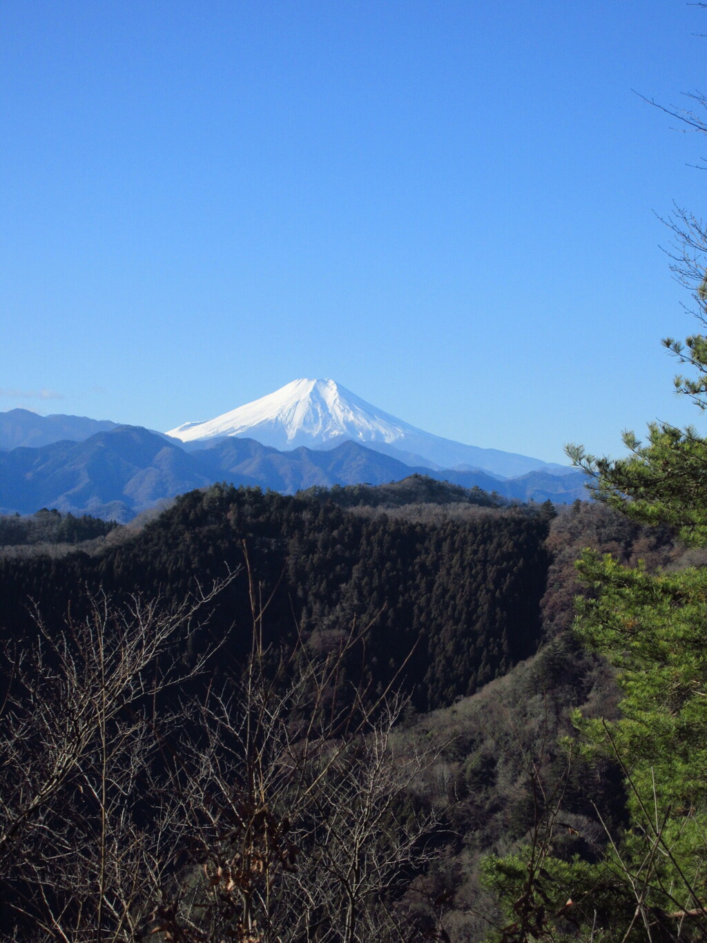 新春