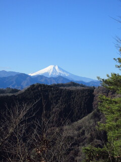 新春