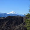 新春