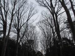 大学キャンパス