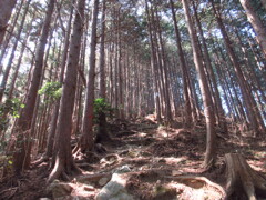 急斜面