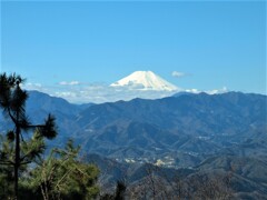 富士