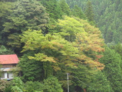 里の秋