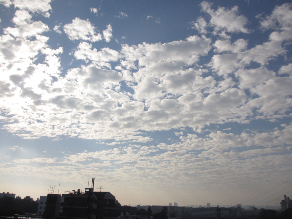 朝の雲