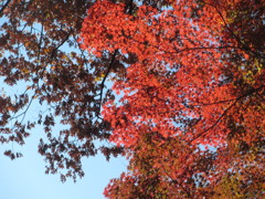 キャンパスにて