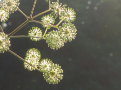 秋の一日