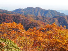 川苔山