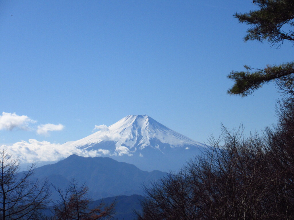 2023年