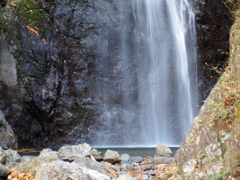 奥多摩の名瀑