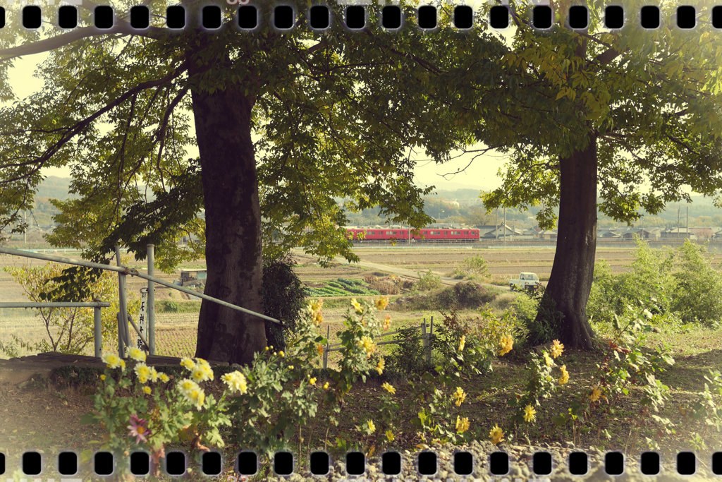 田舎の風景