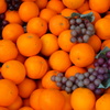 DSC02909