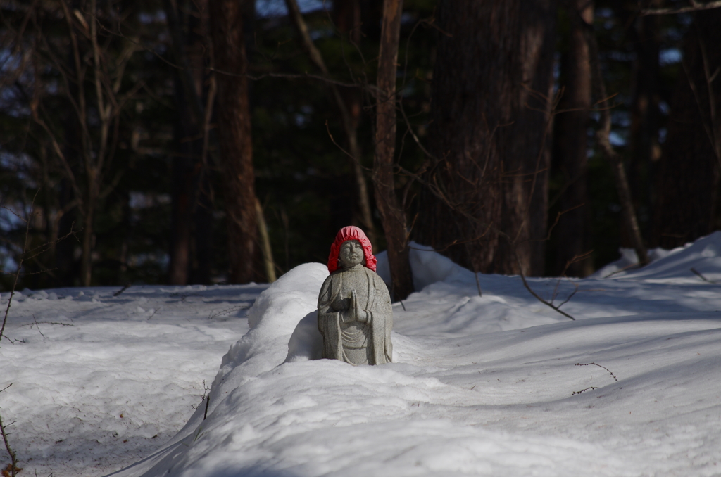 願わくば、花の下にて春・・・・・