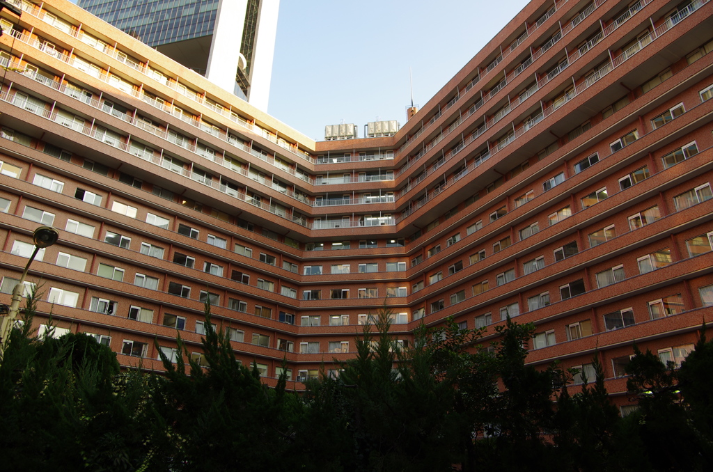 買ってその足で