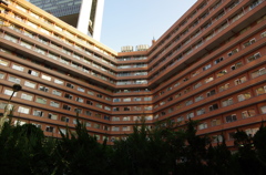 買ってその足で