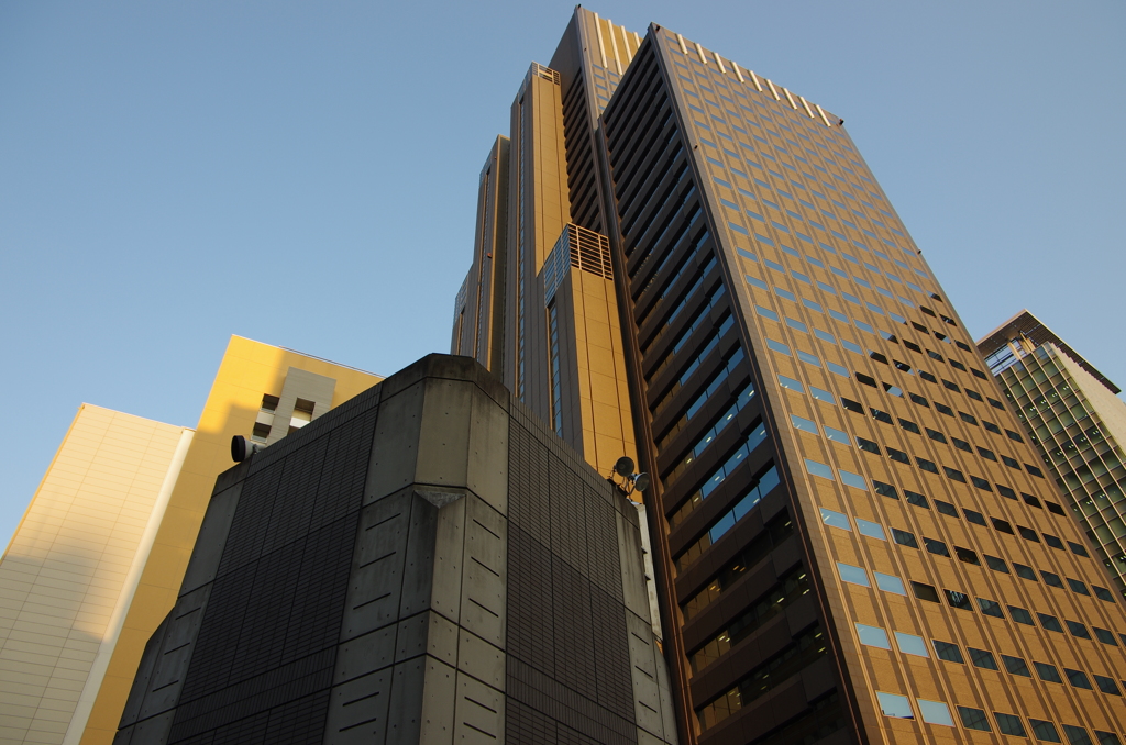 代々木方面散歩