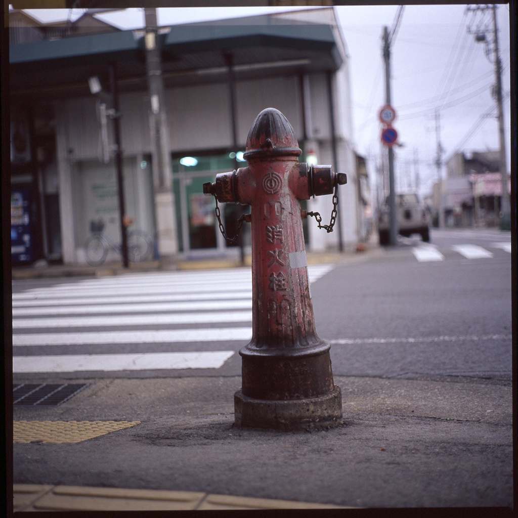 歩道のたちんぼう