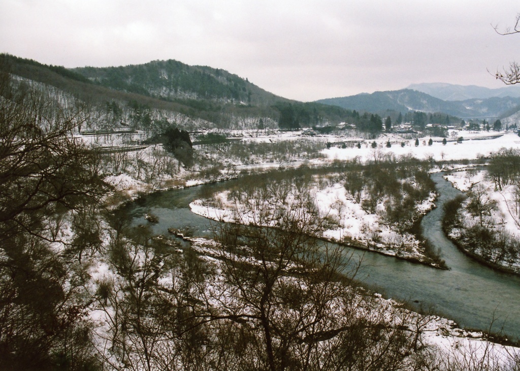 冬の川辺を眺めて