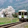 桜と釜石線