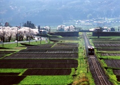 田植え前の車窓