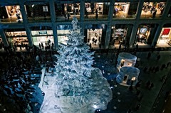 丸の内 KITTE TREE