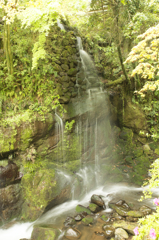 万葉公園　不動滝