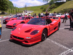 RIMG0253