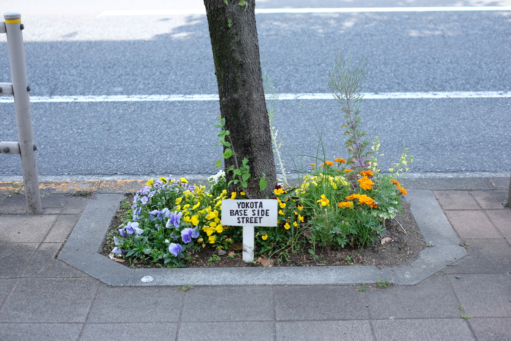 YOKOTA BASE SIDE STREET