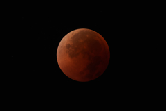 2025年9月8日 皆既月食④（皆既食）
