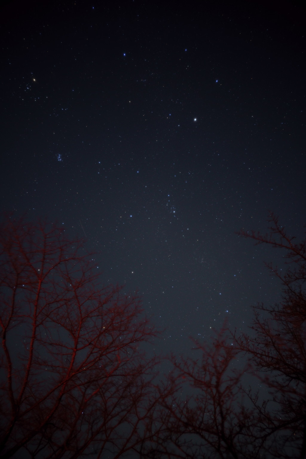 北の夜空