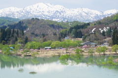雪解けの春