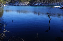 静かなほとりにて