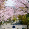 揺れる花のなか