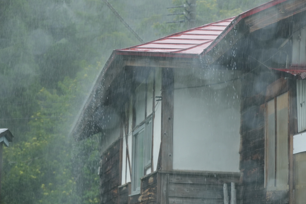 驟雨