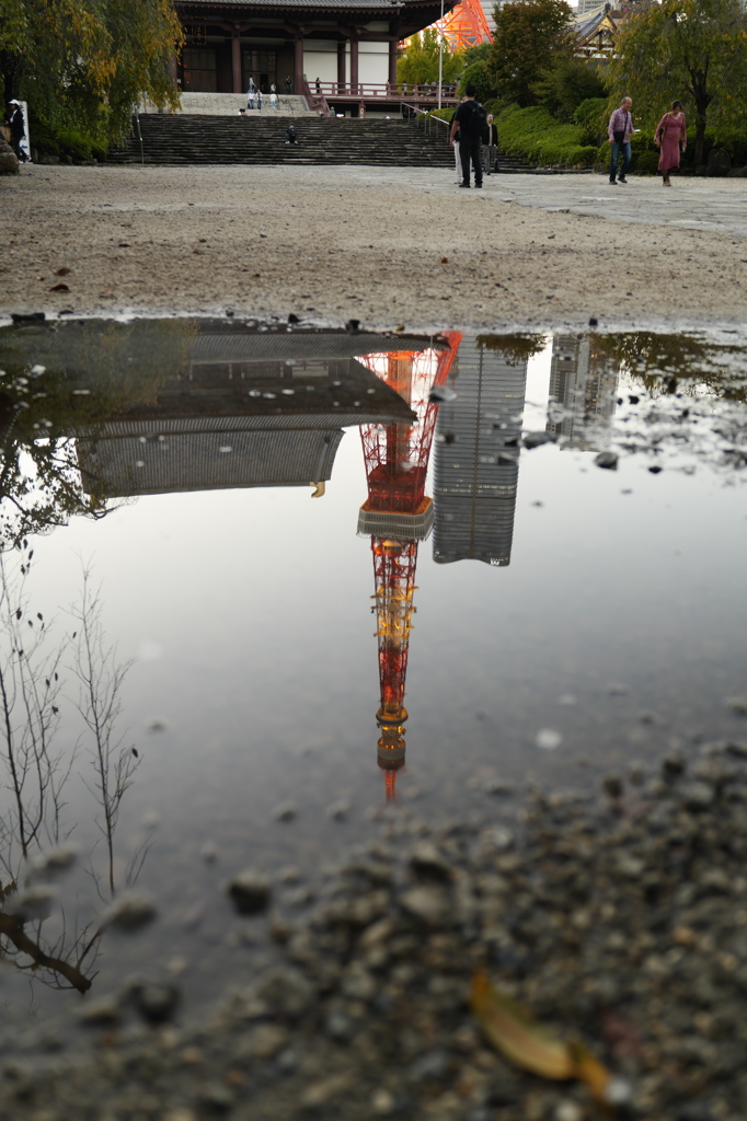 東京タワー百景