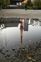 東京タワー百景