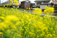 菜の花鉄道