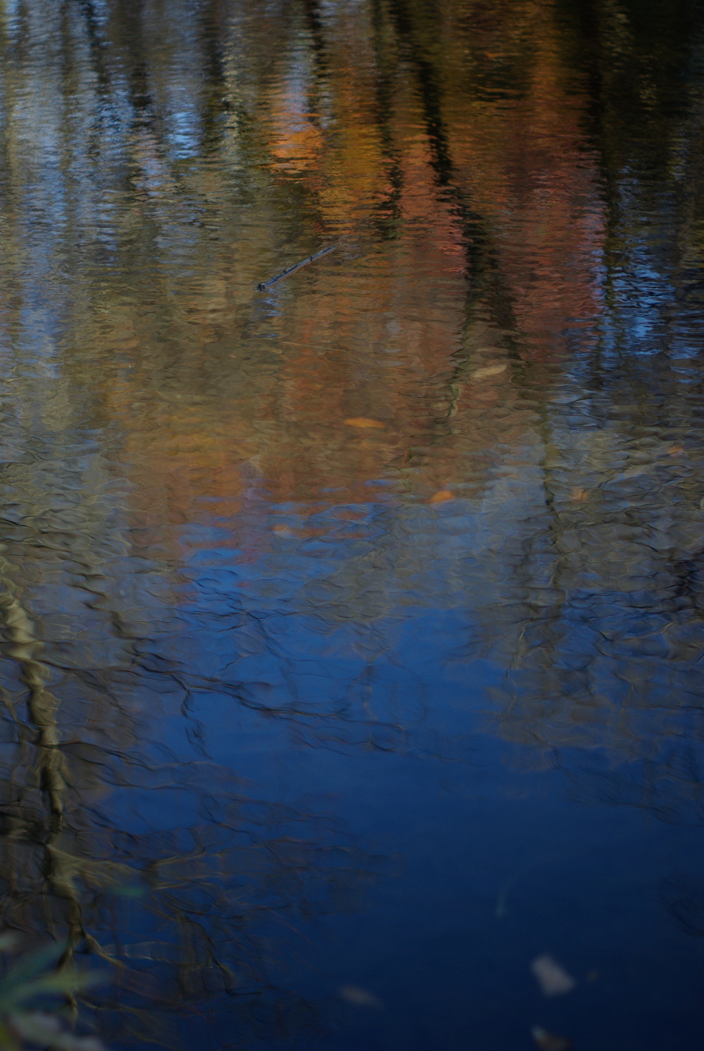 比較１　Super Takumar 55mm F1.8