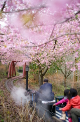さくらトンネル