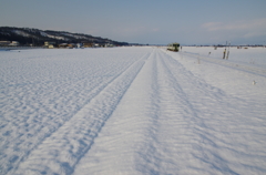 雪原の向こうから