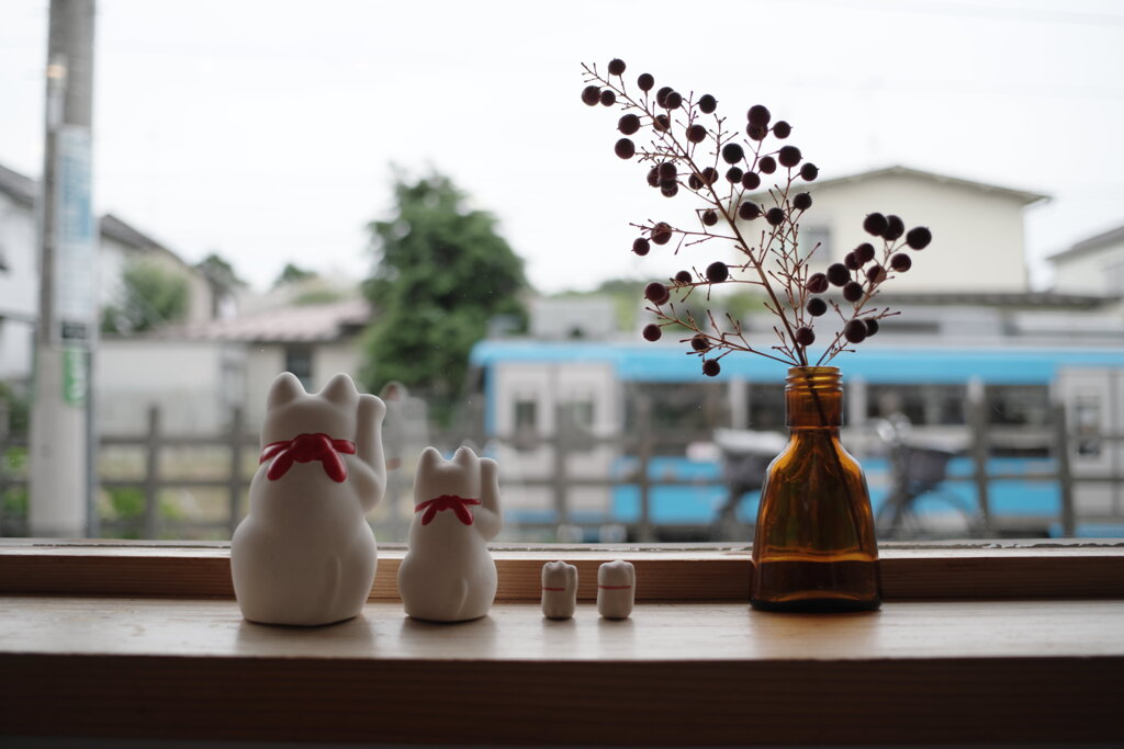 見守り猫